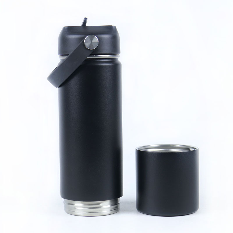 750ml Double Wall Insulated Sport Water Bottle with Case