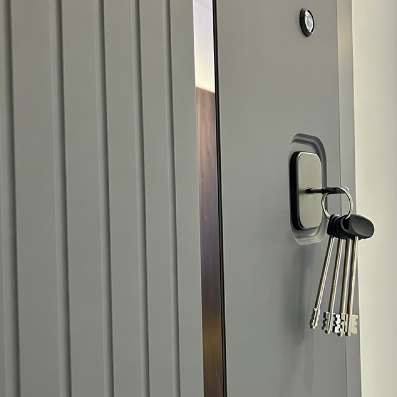 Russia Door Customized Steel Security Gate Burglar Resistant Entry Door Steel for house.