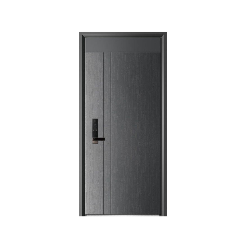 Heavy Duty Steel Smart Door for Ultimate Home Security and Remote Access.