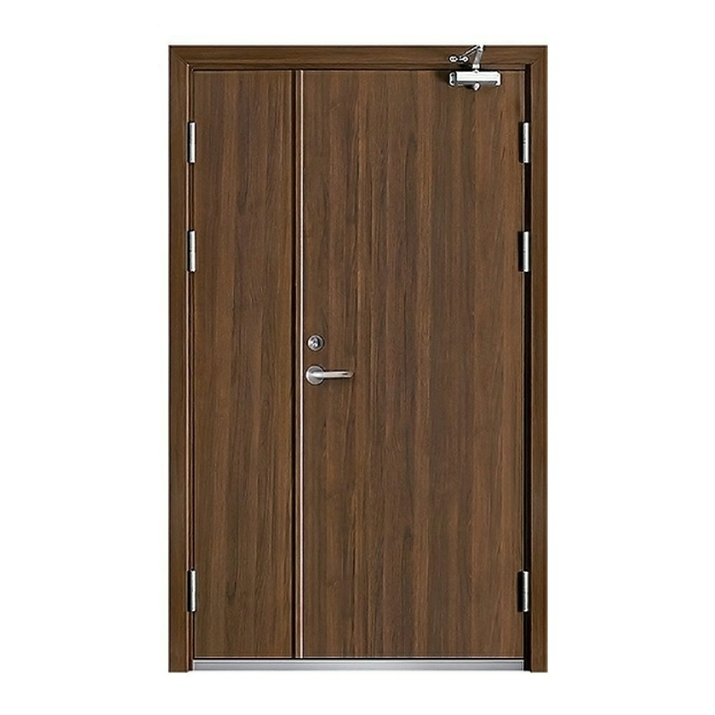 China Factory Price Modern Design Fireproof Double Leave Doors Different Design Fire Related Doors for the Main Entrance