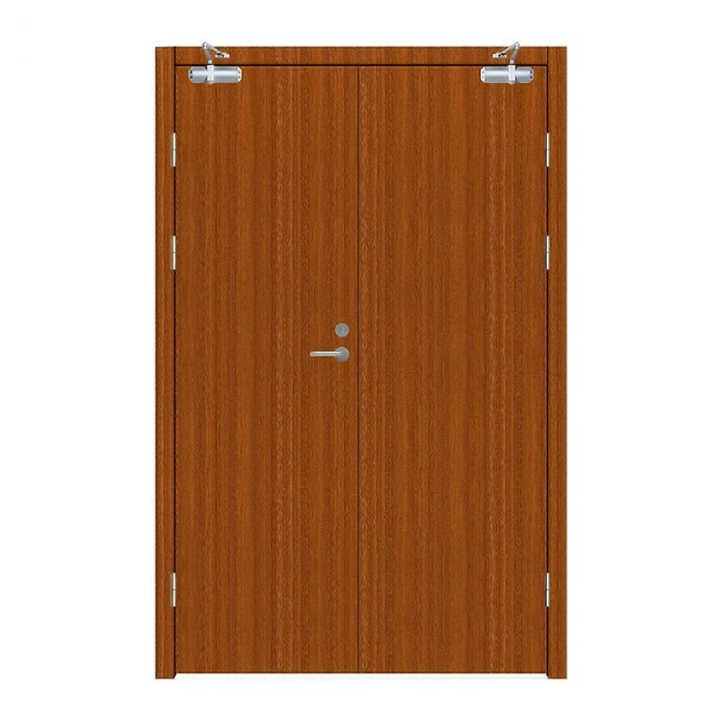China Factory Price Modern Design Fireproof Double Leave Doors Different Design Fire Related Doors for the Main Entrance