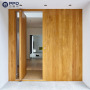 China top manufacturer custom high quality steel pivot external security doors for house metal front entry exterior door