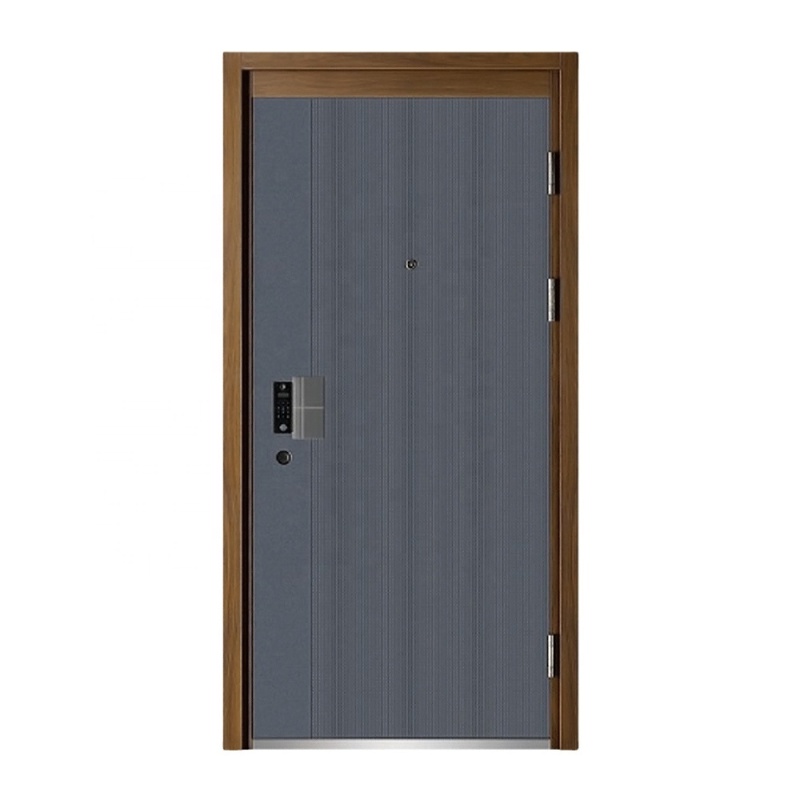 Premium Steel Smart Door with Advanced Biometric Security System