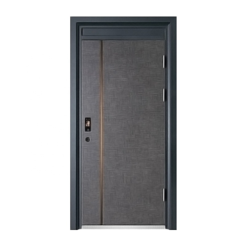 Premium Steel Smart Door with Advanced Biometric Security System