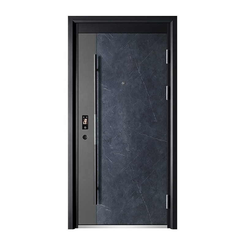 Premium Steel Smart Door with Advanced Biometric Security System