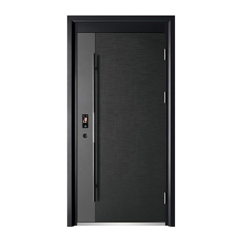 Premium Steel Smart Door with Advanced Biometric Security System