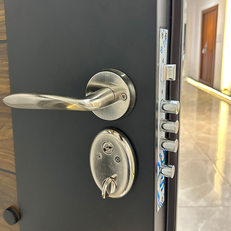 High Security Modern Wholesale Door Special Cold Rolled Sheet Steel Gate for House.