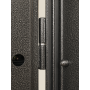 Russia Door Black Steel Door with Horizontal Metal Trim for Modern Building Entrance