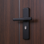 Steel Door of Dark Brown Wood Finish Steel Door for European Style Villa Building Entry