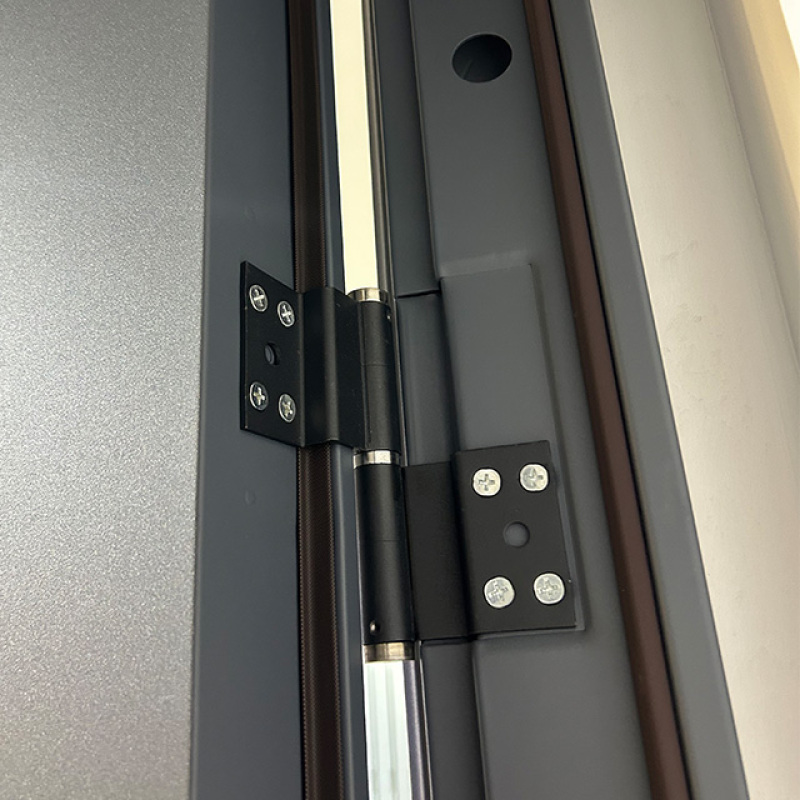 Quality Designer Style Intelligent Gate Energy Efficient Smart Steel Door for Apartment.