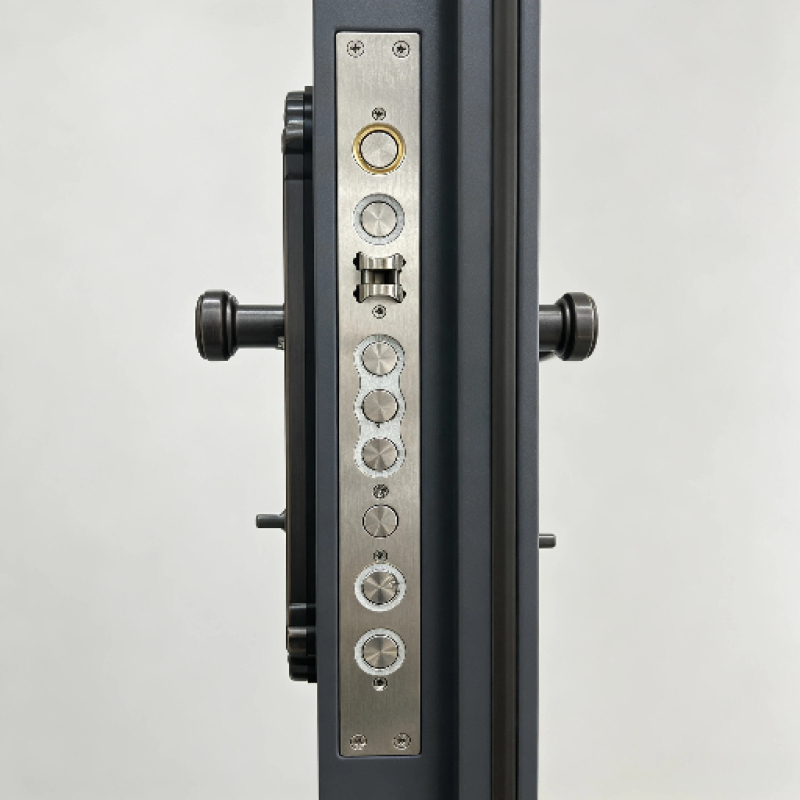 Modern Pivot Exterior Door, Black Exterior Villa Front Door with Gold Metal Decor Strips