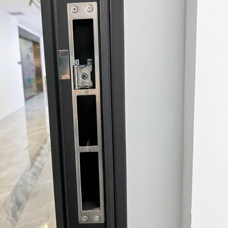 High quality steel door with smart lock and cold rolled sheet security gate for factory security