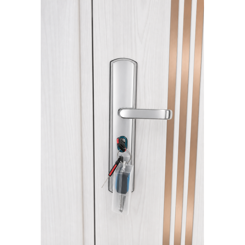 Modern design Waterproof Soundproof Cold Rolled Sheet Steel Door for Office Building.