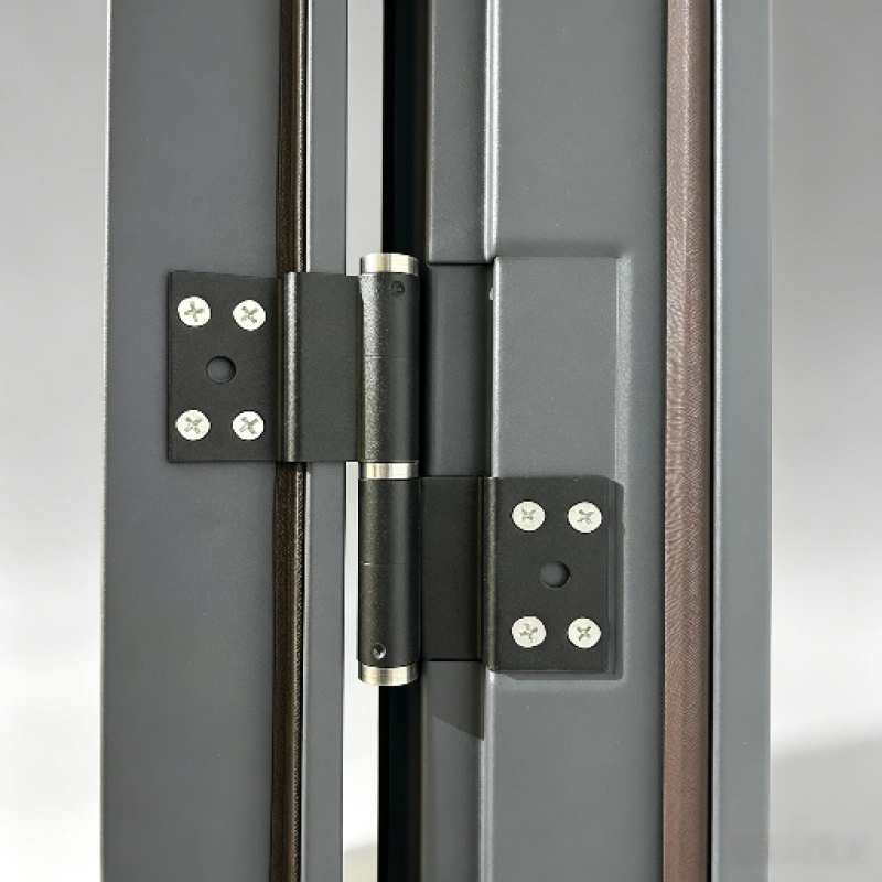 Steel Door of Dark Brown Wood Finish Steel Door for European Style Villa Building Entry