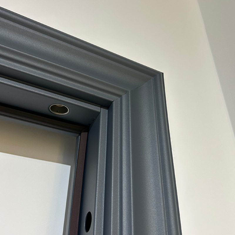 Quality Designer Style Intelligent Gate Energy Efficient Smart Steel Door for Apartment.