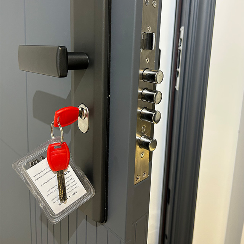 Quality Designer Style Intelligent Gate Energy Efficient Smart Steel Door for Apartment.