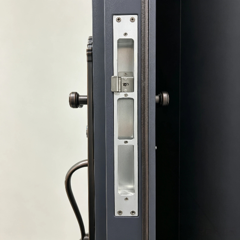 Modern Steel Pivot Front Door with Frosted Glass Sidelights for Luxury Villa Exterior