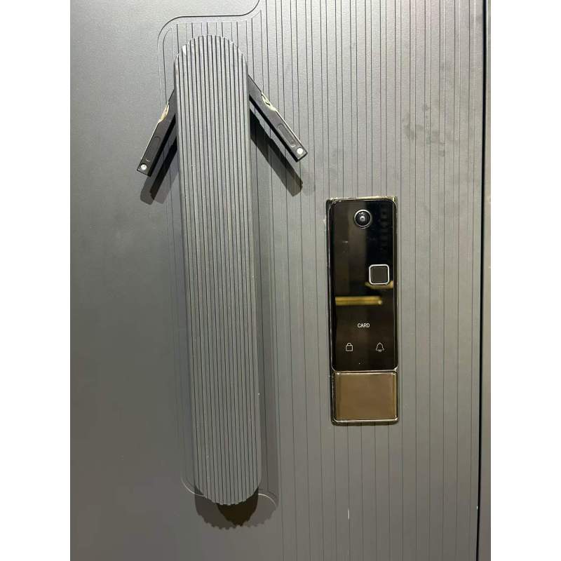 Modern Black Steel Security Entrance Door with Minimalist Flat Panel and Vertical Pull Handle Custom Size Metal Front Door