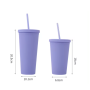 Cheap Double Wall Skinny Acrylic Cup Pastel Colored Matte Tumblers 16oz Plastic Reusable Tumbler Cups With Straw Lid