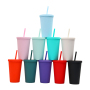 Cheap Double Wall Skinny Acrylic Cup Pastel Colored Matte Tumblers 16oz Plastic Reusable Tumbler Cups With Straw Lid