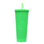 Light Weight 24OZ Color Options Plastic Double Wall Tumbler Juice Coffee Mug with lid straw