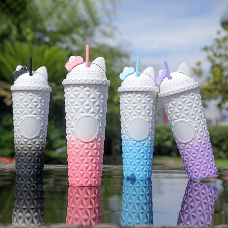 Top Ranking Double Wall Tumblers Kawaii Customizable Sports Custom Water Mug with Straw