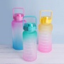 Sport Portable Bpa Free Leakproof Motivational Large Capacity Frosted Plastic Water Bottles