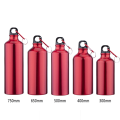 Wholesale Custom Logo Printing Outdoor Metal Aluminum Bike Sports Water Bottle with Carabiner