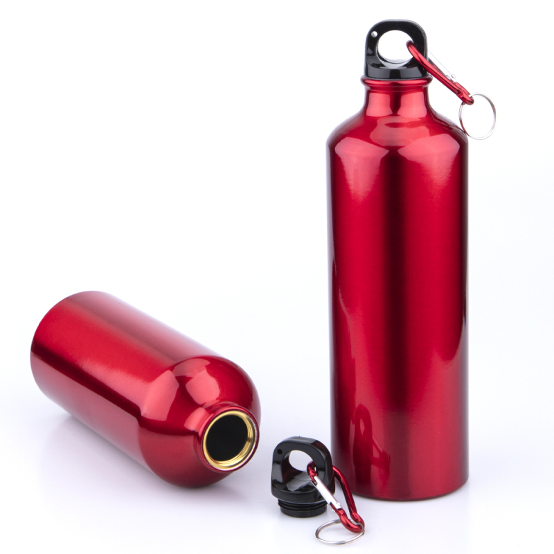 Wholesale Custom Logo Printing Outdoor Metal Aluminum Bike Sports Water Bottle with Carabiner