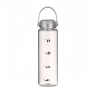 New Model 420ml Eco Friendly Bpa Free Clear Drinking Cup Leakproof Recycle Sports Plastic Fruit Water Bottle With Lid