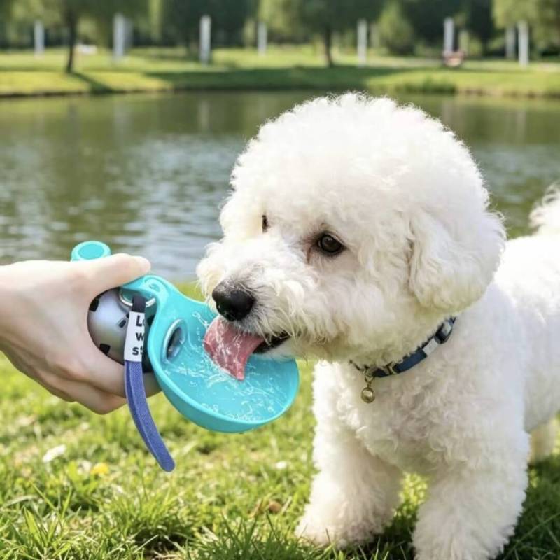 Wholesale Stainless Steel Dog Water Bottle Portable Leakproof Pet Travel Waterer Outdoor Drinking Feeder
