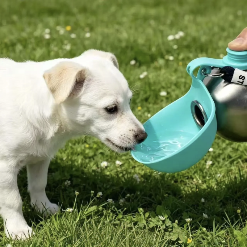 Collapsible Pet Silicone Drinking Water Bottle Pet Foldable Spherical Water Bottle Stainless Steel Dog Bowls