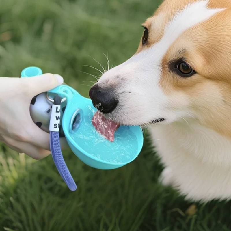 Wholesale Stainless Steel Dog Water Bottle Portable Leakproof Pet Travel Waterer Outdoor Drinking Feeder