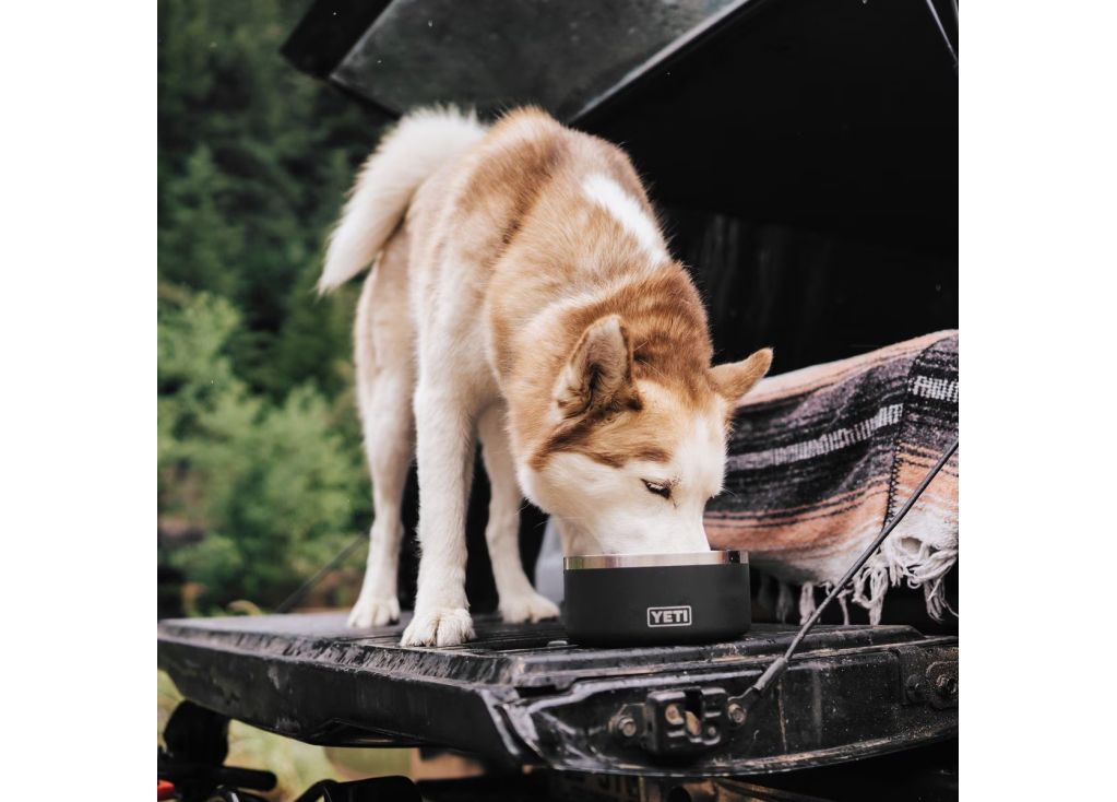 Choosing the Right Wholesale Dog Bowl Manufacturer: Top 5 Suppliers for Pet Businesses in 2025