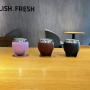2025 New Style Cute Stainless Steel Yerba Teacup Customizable