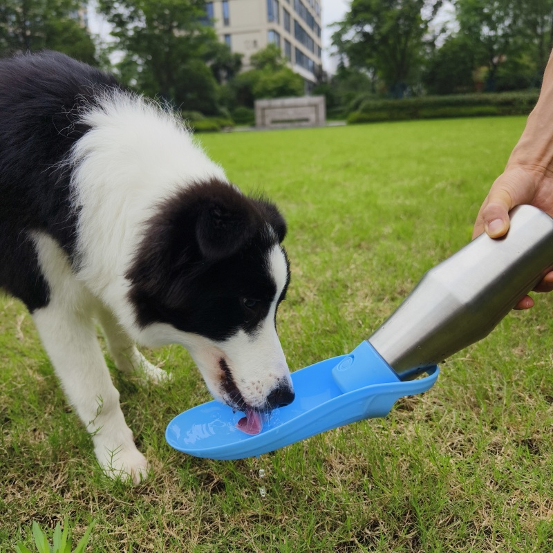 2025 New Design Portable 304 Stainless Steel Water Bottle for Dogs Pet Supplies for Dog Drinking Outdoor Water Dispenser