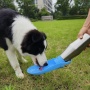 2025 New Design Portable 304 Stainless Steel Water Bottle for Dogs Pet Supplies for Dog Drinking Outdoor Water Dispenser