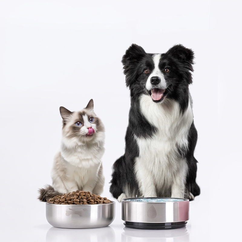 Pet Double Wall Detachable Bowls Insulated Stainless Steel Leak Proof Dog Water Bottle Stainless Steel Thermos Bottle