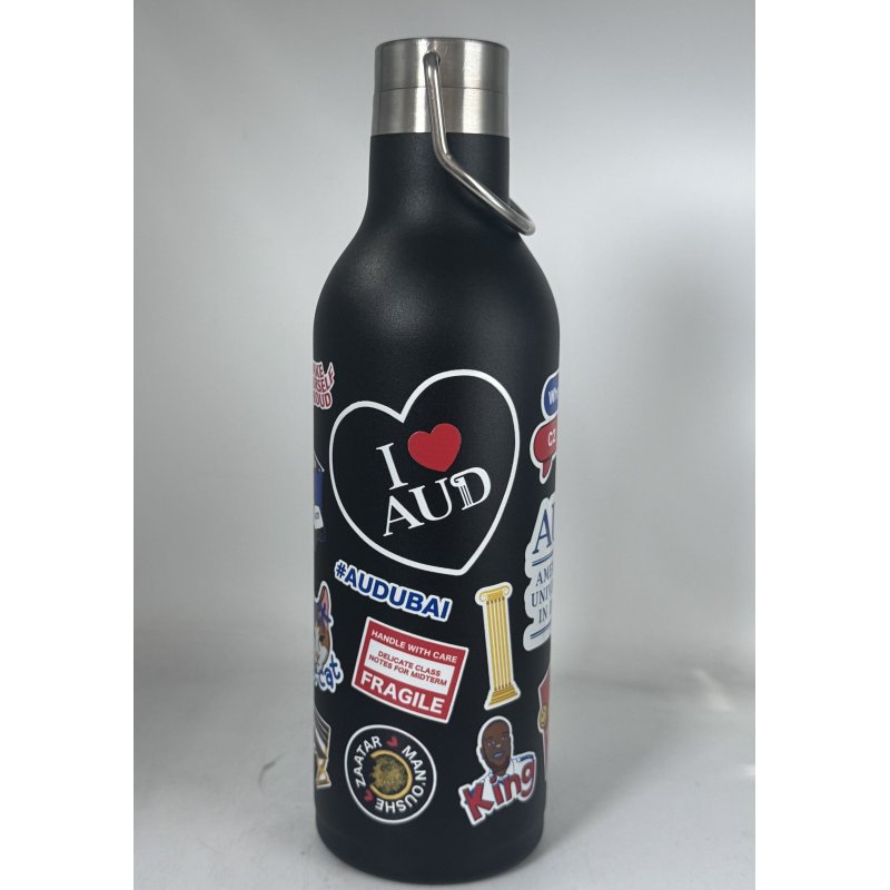 500ml Double Wall Stainless Steel Water Bottle with Metal Handle Gym Sports Bottles Drinking Purpose