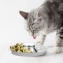 2025 Hot Sale Pure Silver Color Circular Pet Bowl Premium Stainless Steel Recycled Feeding Water Bowl Multiple Sizes Available