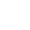 Shaker bottles