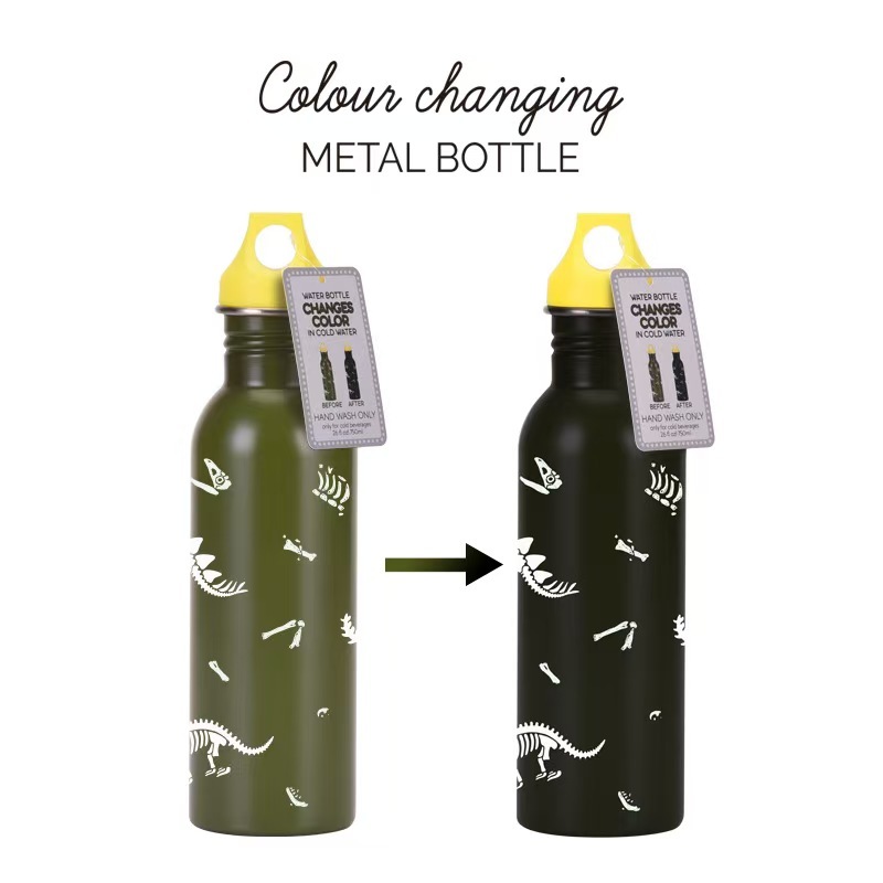 2026 New Cross-Border Single-Layer Stainless Steel Sports Water Bottle Temperature-Sensitive Color-Changing Creative Magic Cold