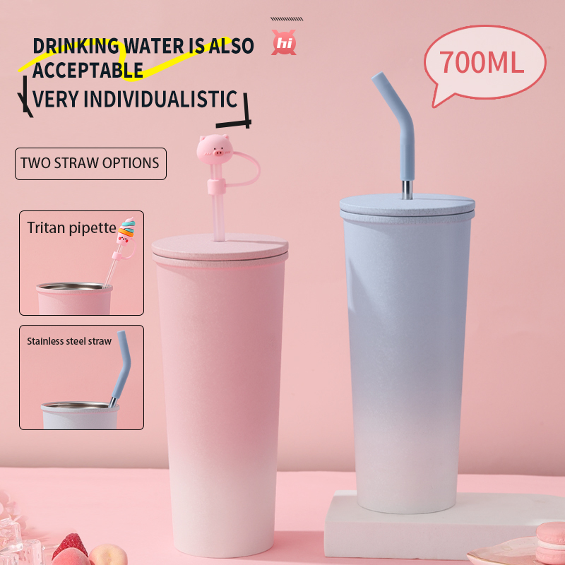 New Arrival 700ml Stainless Steel Cup Straw Tumbler Vacuum Metal Material Cup With Lid and Straw