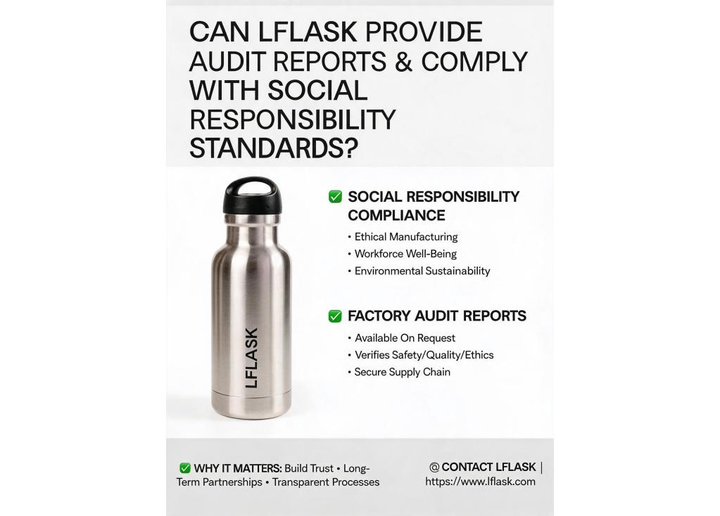 Can the factory provide audit reports or comply with specific social responsibility standards?