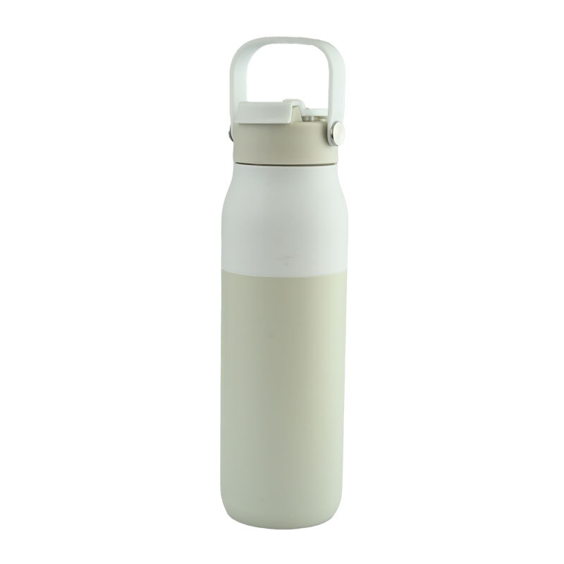 Custom 23oz Stainless Steel Insulated Water Bottle with Straw and Handle  Outdoor Sports Thermos Flask Kettle  Wholesale Portable Vacuum Bottle – Actever B25045