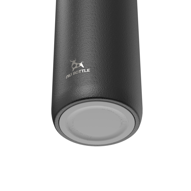 Stainless Steel Vacuum Insulated Water Bottle With Portable handle