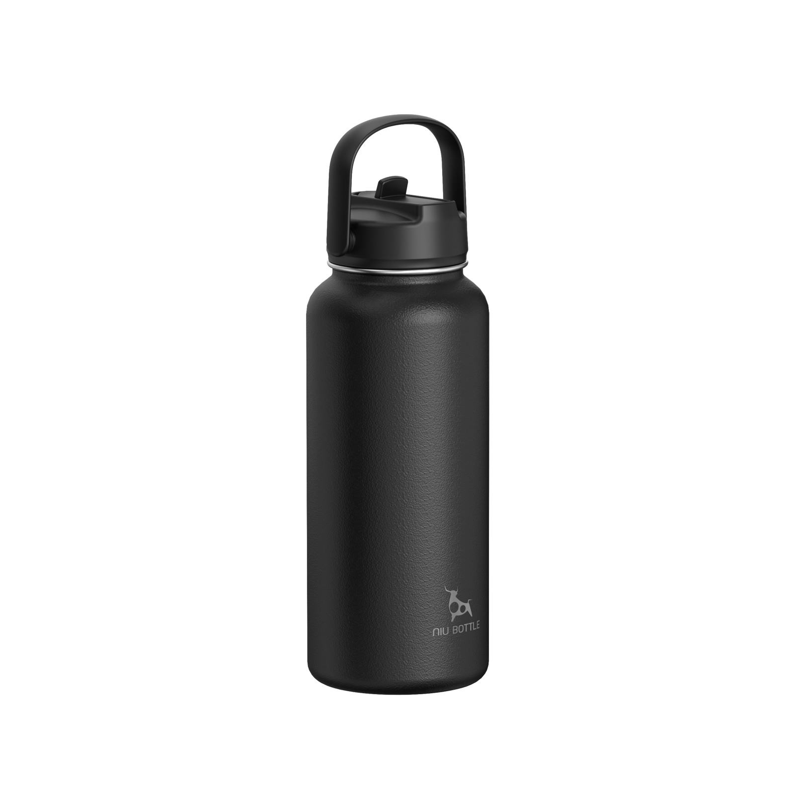 Double wall stainless steel vacuum insulation bottle with Portable Handle