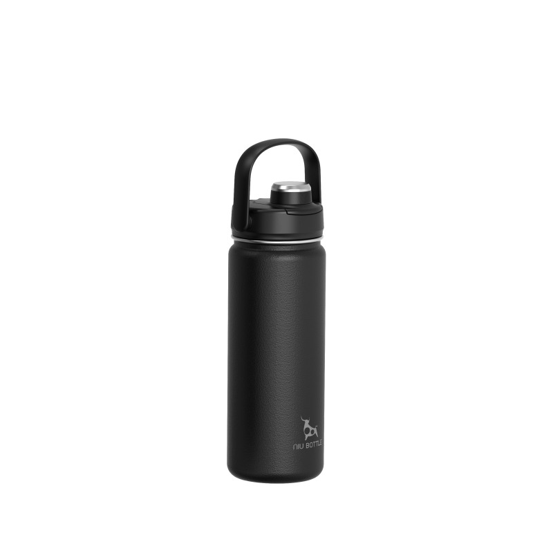 Double wall stainless steel vacuum insulation bottle with Portable Handle
