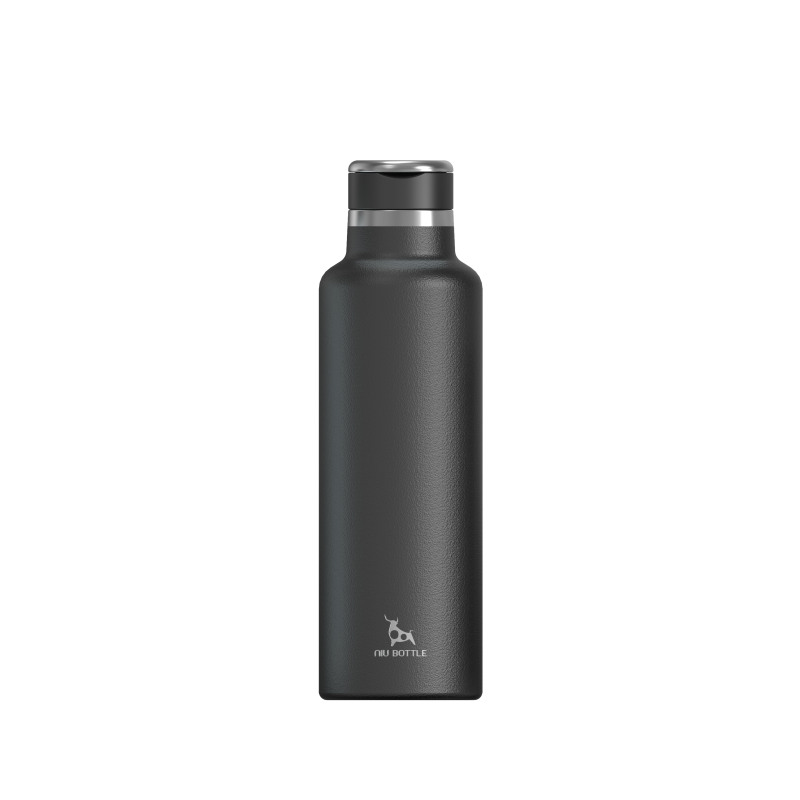   Double Wall  Stainless Steel vacuum insulated bottle With Metal Portable Handle