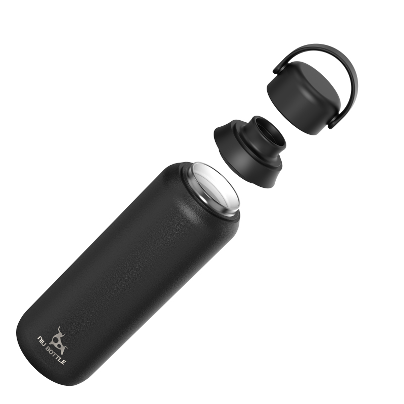 Stainless Steel Vacuum Insulated Water Bottle With Portable handle